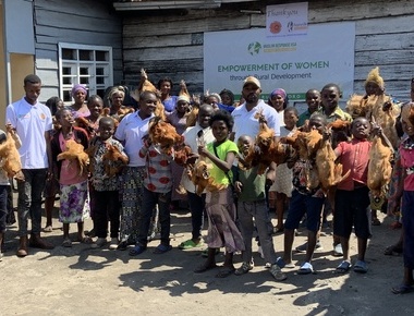 Home projet d'élévage des poules